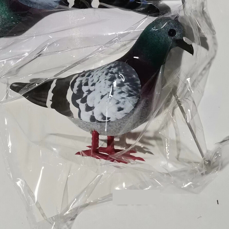 Imitacija balandis pilkas balandis laukinis balandis kvadratinis balandis vėžlys fotografijos rekvizitai sodo reikmenys balandžių paukščio modelis