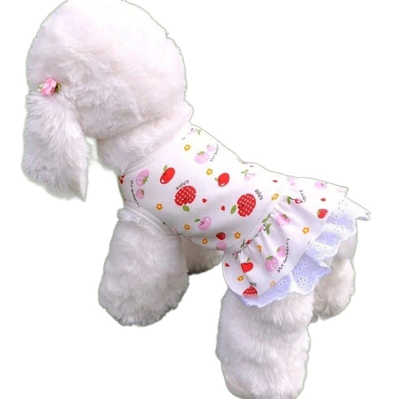 Koera riided Internet Celebrity Teddy seelik Bichon kutsikas Suverõivad Hooaeg Päikesekaitse Hingav Vest Väikestele Koertele Kassidele Õhuke Sektsioon