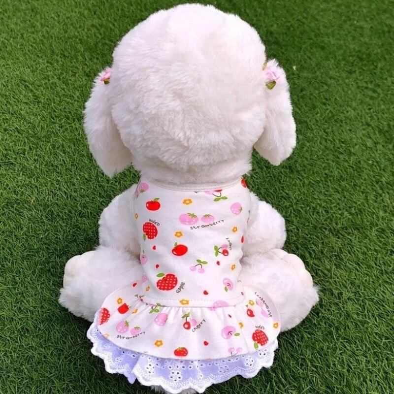 Koera riided Internet Celebrity Teddy seelik Bichon kutsikas Suverõivad Hooaeg Päikesekaitse Hingav Vest Väikestele Koertele Kassidele Õhuke Sektsioon