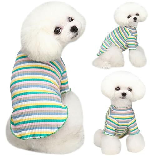 Tarpvalstybinė užsienio prekyba, nauji medvilniniai mažų ir vidutinio dydžio vaivorykštės spalvos elastingi dryžuoti šunų drabužiai, šunų marškinėliai, augintinių drabužiai