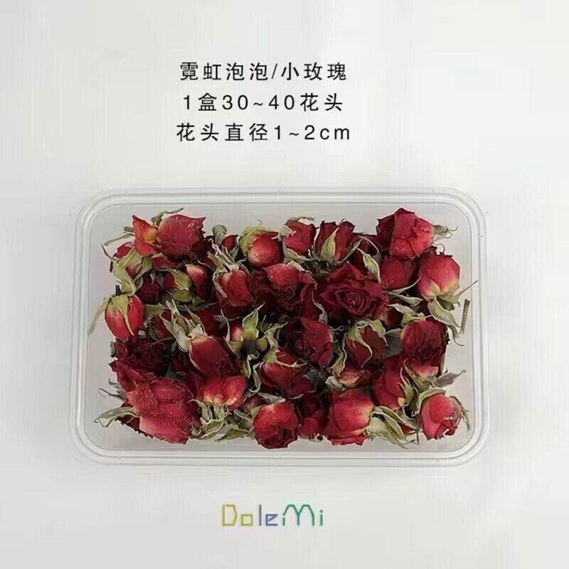 Daugiagalvės rožinės džiovintos gėlės rožiniuose burbuluose, „pasidaryk pats“ nuotraukų rėmelių klijai, džiovintos gėlės, natūraliai džiovinamos ore, mini nuotrauka