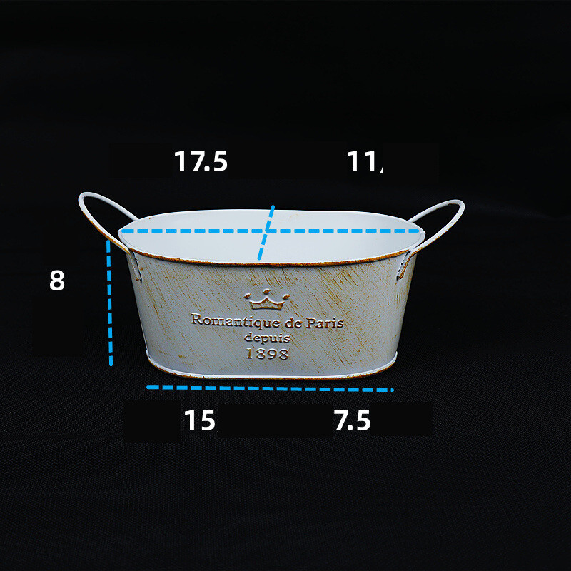 Amerikietiškas geležinis gėlių vazonas, geležinis kibiras, gėlių kibiras, retro senovinis gėlių vazonas, pastoracinės sodo puošmena, sukulentų vazonas