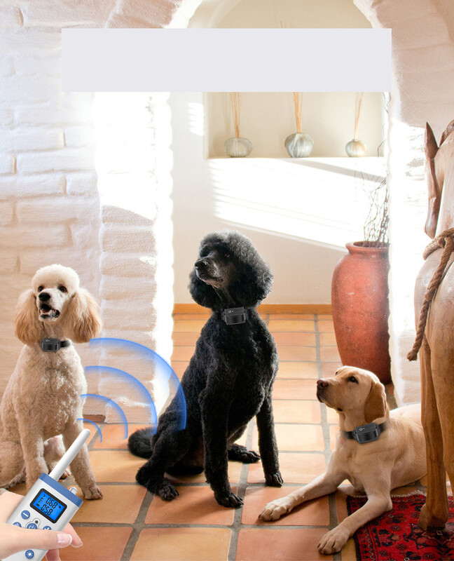 Karštai parduodamas 1000 metrų atsparus vandeniui įkraunamas nuotolinio valdymo elektros smūgio antkaklis šunų dresūros prietaisas su lojimo mechanizmu