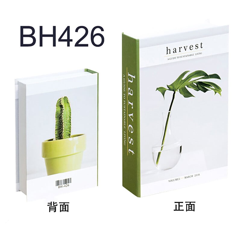 Paprasti modernūs netikrų knygų papuošalai, dekoratyvinės knygos, namų stilius, interjero dizainas, žurnalas, knyga, modelis, kambario modelis, minkšti baldai