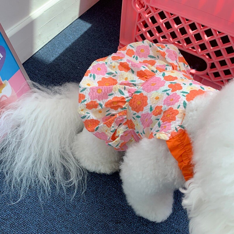 Plona vasarinė princesės suknelė augintiniams urmu, meškiukas bišonai, pomeraniečiai, maži šunys, jorkšyro katės, šunų drabužiai vasarai