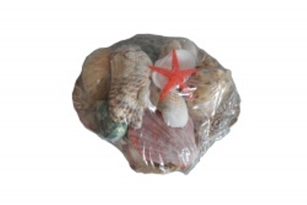 Раковини в мида, Естествени, Многоцветни, 14 см