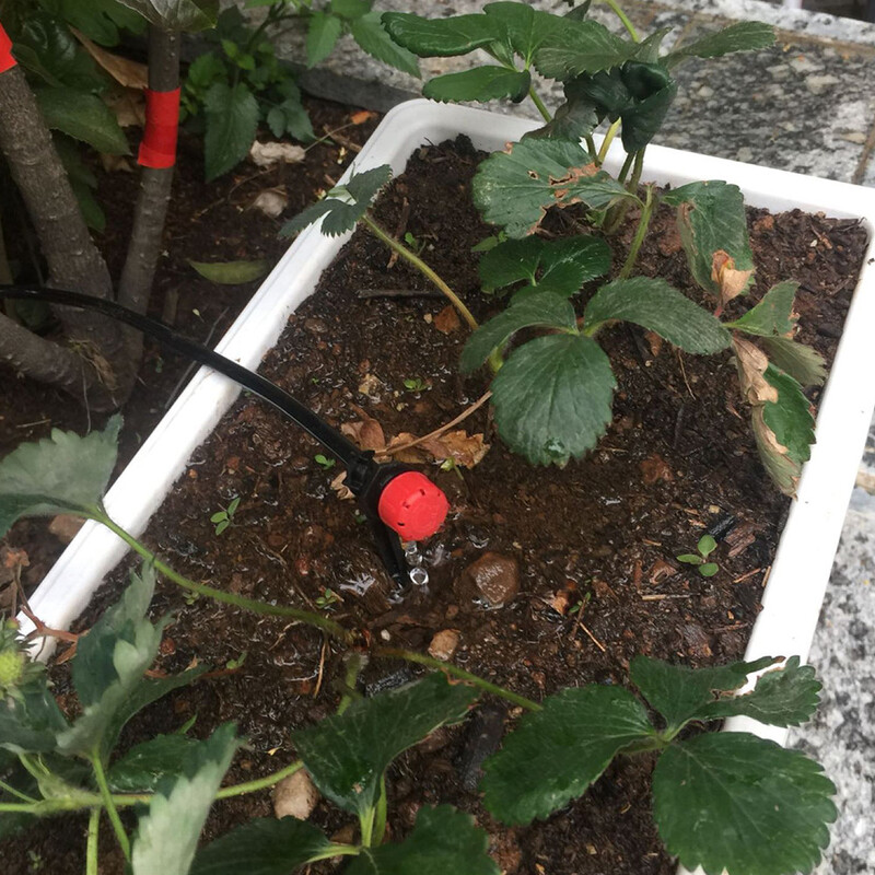 Tiesioginiai pardavimai iš gamyklos, 200 vnt. Raudonkepuraitės aštuonių skylių lašelinis purkštukas, raudonas, 8 skylių reguliuojamas srautas, sodo mikropurškimo antgalis lašeliniam laistymui