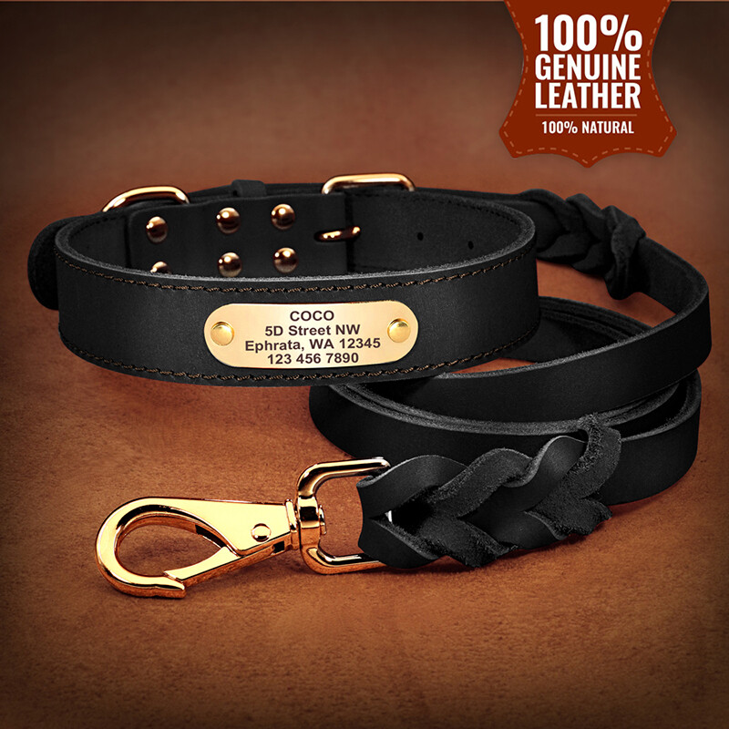 Labradoro šuns antkaklis, didelis, su graviruotu šuns žymekliu, apsaugantis nuo pametimo, šuns antkaklis mažiems ir vidutinio dydžio šunims