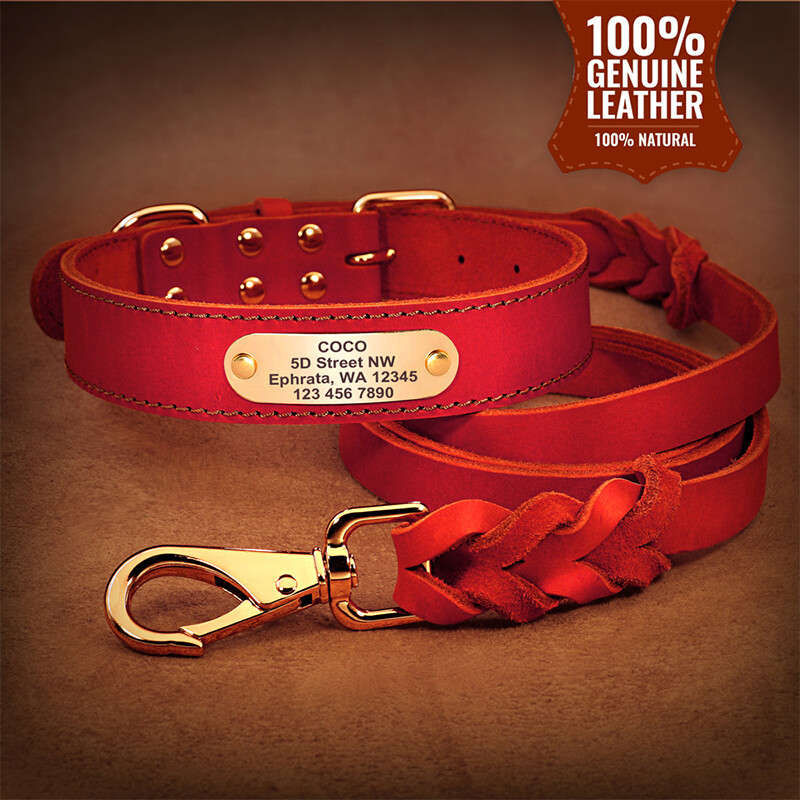 Labradoro šuns antkaklis, didelis, su graviruotu šuns žymekliu, apsaugantis nuo pametimo, šuns antkaklis mažiems ir vidutinio dydžio šunims