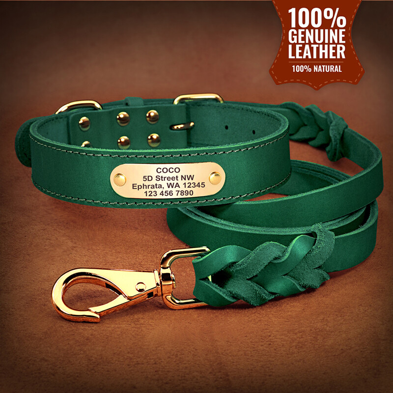 Labradoro šuns antkaklis, didelis, su graviruotu šuns žymekliu, apsaugantis nuo pametimo, šuns antkaklis mažiems ir vidutinio dydžio šunims