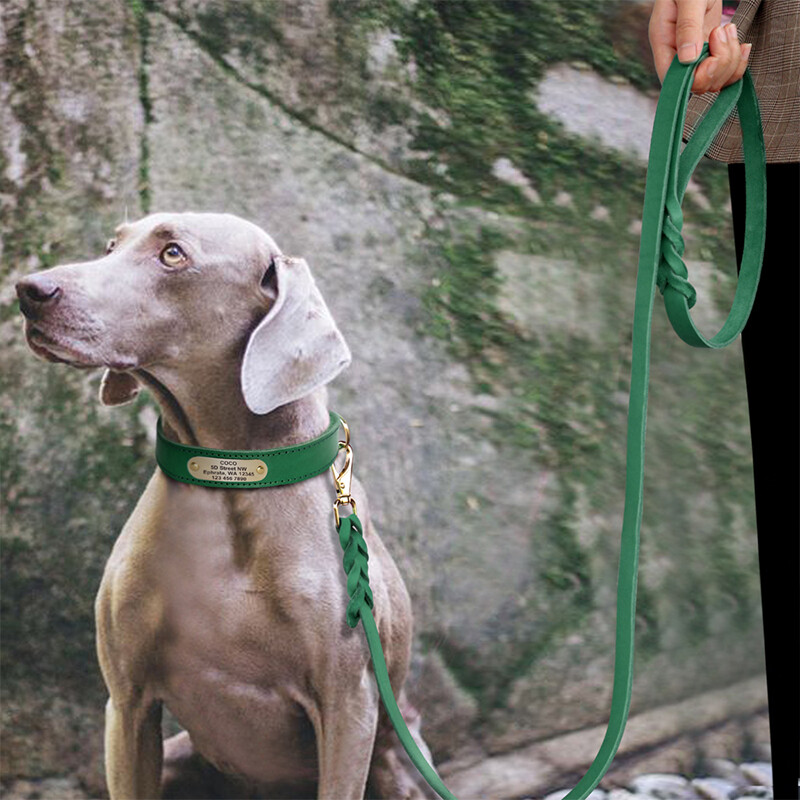 Labradoro šuns antkaklis, didelis, su graviruotu šuns žymekliu, apsaugantis nuo pametimo, šuns antkaklis mažiems ir vidutinio dydžio šunims