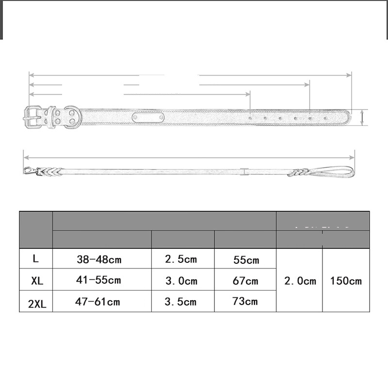 Labradoro šuns antkaklis, didelis, su graviruotu šuns žymekliu, apsaugantis nuo pametimo, šuns antkaklis mažiems ir vidutinio dydžio šunims