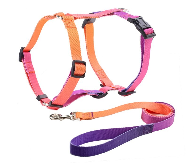 Lemmikloomade pukseerimisköie piiriülene tarnimine väikestele, keskmistele ja suurtele lemmikloomadele, I-kujuline rinnakorv ...