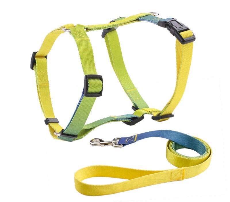 Lemmikloomade pukseerimisköie piiriülene tarnimine väikestele, keskmistele ja suurtele lemmikloomadele, I-kujuline rinnakorv ...