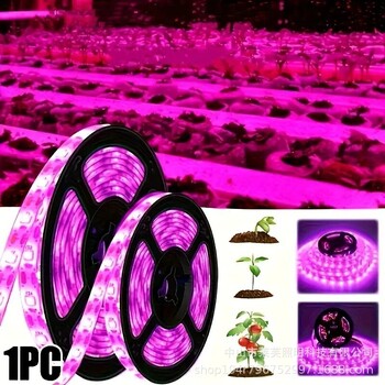 Λάμπα ανάπτυξης φυτών LED με φως πλήρωσης φυτών πλήρους φάσματος 5V2835, τροφοδοτείται με USB, πολύχρωμη λωρίδα φωτός για παχύφυτα