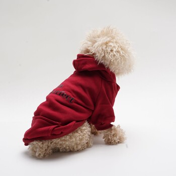 Φούτερ με κουκούλα για κατοικίδια με στάμπα γραμμάτων, χαλαρό, casual, για μικρές και μεσαίες γάτες, αρκουδάκι, ρούχα Bichon