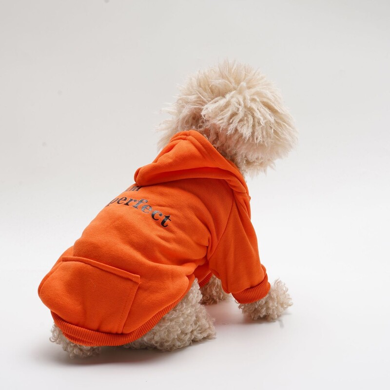 Majica s kapuljačom za kućne ljubimce s printom slova, široka, ležerna, za male i srednje mačke, plišani medvjedić, odjeća za bišone