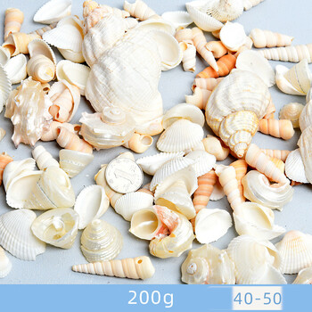 Dabīgie gliemežvāki, gliemežvāki, jūras zvaigznes, akvāriju ainavu veidošana, pašu darināti roku darba materiāli, lielu gliemežvāku vairumtirdzniecība, vēja zvanu rotājumi, rokdarbi