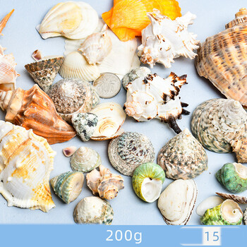 Dabīgie gliemežvāki, gliemežvāki, jūras zvaigznes, akvāriju ainavu veidošana, pašu darināti roku darba materiāli, lielu gliemežvāku vairumtirdzniecība, vēja zvanu rotājumi, rokdarbi