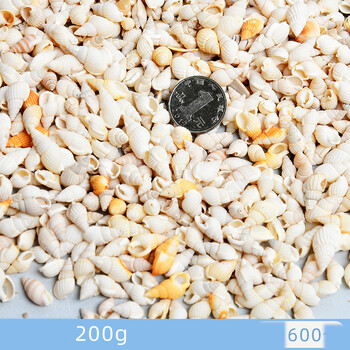 Dabīgie gliemežvāki, gliemežvāki, jūras zvaigznes, akvāriju ainavu veidošana, pašu darināti roku darba materiāli, lielu gliemežvāku vairumtirdzniecība, vēja zvanu rotājumi, rokdarbi