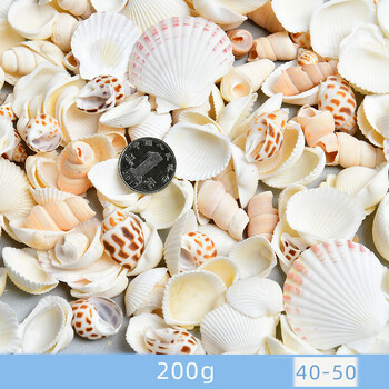 Dabīgie gliemežvāki, gliemežvāki, jūras zvaigznes, akvāriju ainavu veidošana, pašu darināti roku darba materiāli, lielu gliemežvāku vairumtirdzniecība, vēja zvanu rotājumi, rokdarbi