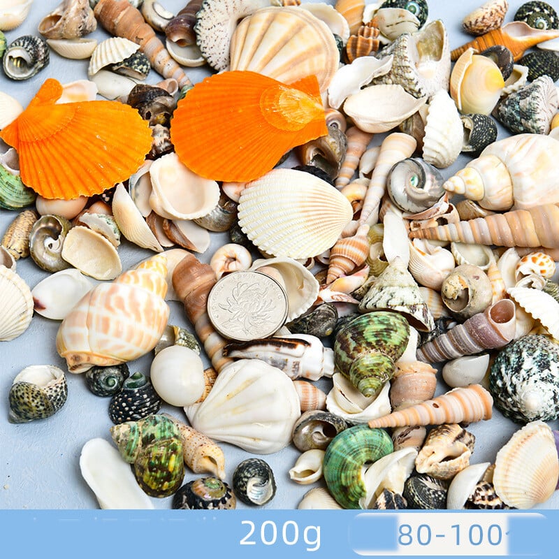 Scoici naturale, scoici de conchi, stele de mare, amenajare peisagistică pentru acvarii, materiale DIY lucrate manual, scoici mari en-gros, decorațiuni cu clopoței de vânt, artizanat