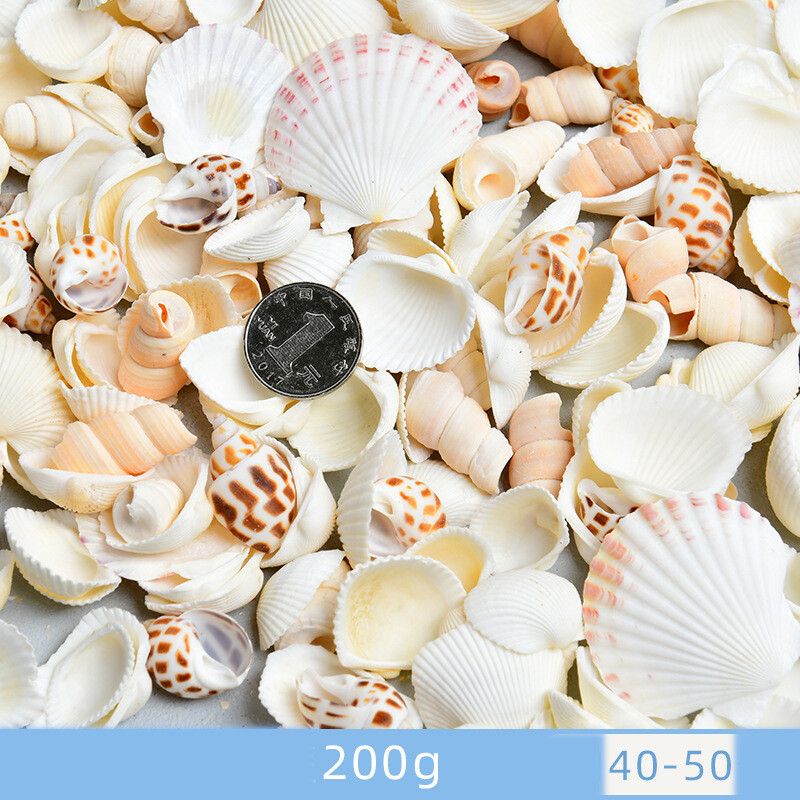 Dabīgie gliemežvāki, gliemežvāki, jūras zvaigznes, akvāriju ainavu veidošana, pašu darināti roku darba materiāli, lielu gliemežvāku vairumtirdzniecība, vēja zvanu rotājumi, rokdarbi