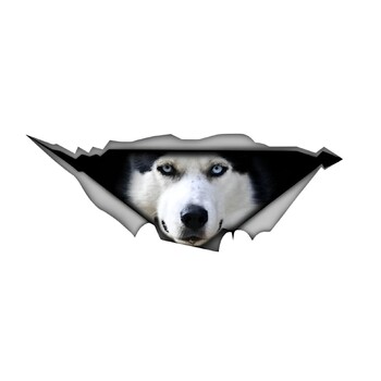 Naljepnice za auto s crnim koker španijelom, metalne poderane naljepnice, vodootporne, za kućne ljubimce, pse, smiješne naljepnice, bijele vipet