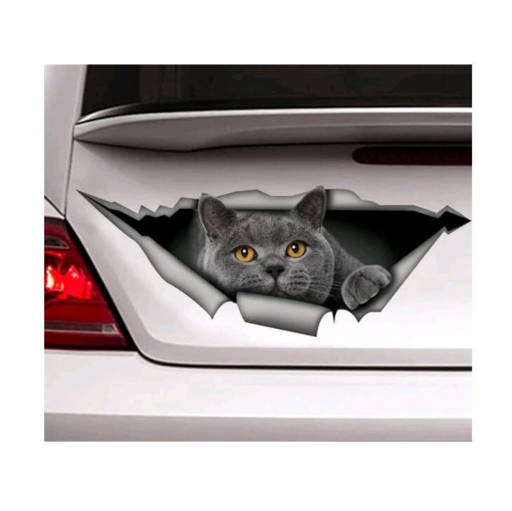 Naljepnice za auto s crnim koker španijelom, metalne poderane naljepnice, vodootporne, za kućne ljubimce, pse, smiješne naljepnice, bijele vipet