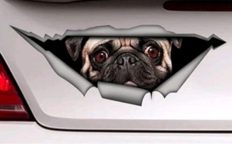 Naljepnice za auto s crnim koker španijelom, metalne poderane naljepnice, vodootporne, za kućne ljubimce, pse, smiješne naljepnice, bijele vipet