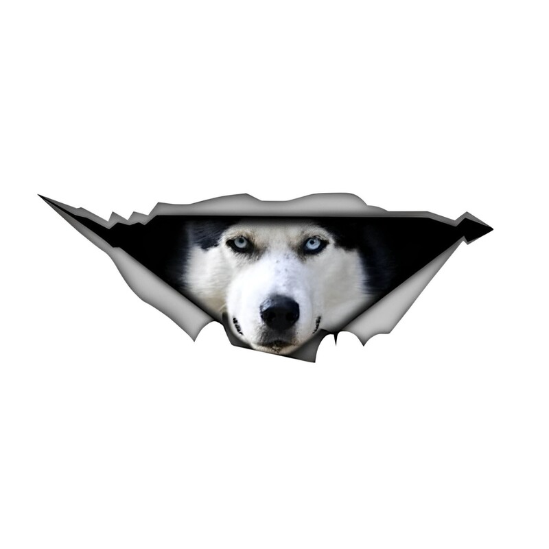 Naljepnice za auto s crnim koker španijelom, metalne poderane naljepnice, vodootporne, za kućne ljubimce, pse, smiješne naljepnice, bijele vipet