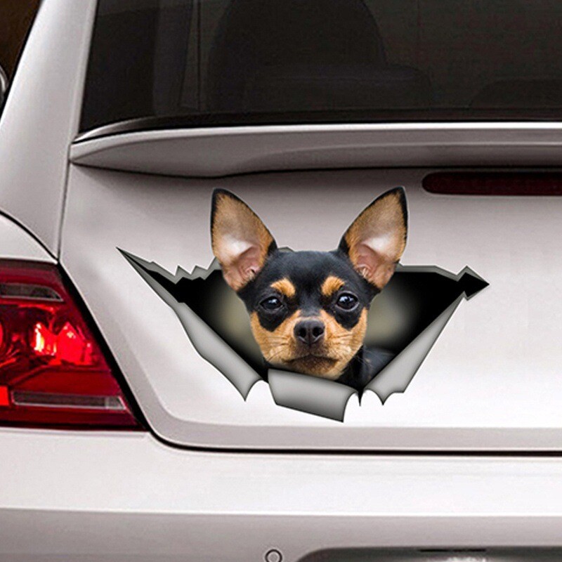 Naljepnice za auto s crnim koker španijelom, metalne poderane naljepnice, vodootporne, za kućne ljubimce, pse, smiješne naljepnice, bijele vipet