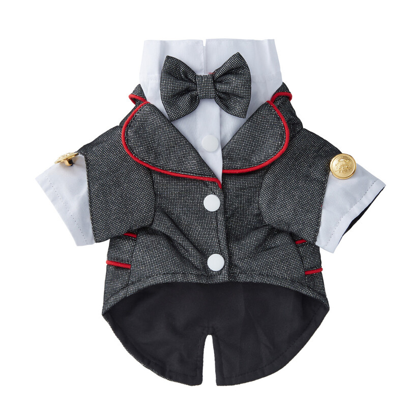 Sügisesed kaisukaru koerariided Uus polüester lipsuga mini koerakleit