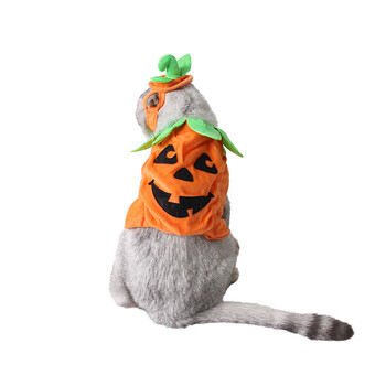 Kisállatruhák, Halloween, Tökfesztivál, Szellemfesztivál ruha, Kétrészes Tökös Kutyaruhák