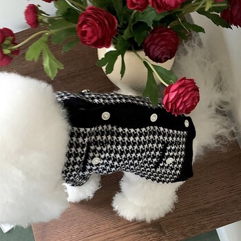 Hercegnő szoknya, kiskutya ruhák, tavasz és ősz, plüssmackó, bichon, pomerániai, schnauzer, kiskutya, háziállat, ősz és tél