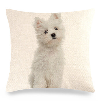 Трансгранична популярна калъфка за възглавница с кучешки мотиви за животни, подходяща за декорация на възглавници за диван в спалнята