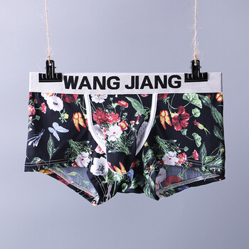 Ανδρικά εσώρουχα από μετάξι πάγου, μύτη ελέφαντα, όπλο, αυγό, σπλιτ, ένα υπνοδωμάτιο, ένα σαλόνι, σορτς, καλοκαίρι, σέξι ανδρικά εσώρουχα, μποξεράκια