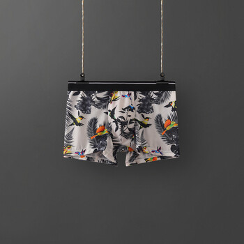 Ανδρικό Μπικίνι από Μετάξι σε Πάγο, Ανδρικά Μποξεράκια, Καλοκαιρινά Λεπτά, Αναπνέοντα, Τυπωμένα, Ανδρικά Αντιβακτηριδιακά Εσώρουχα