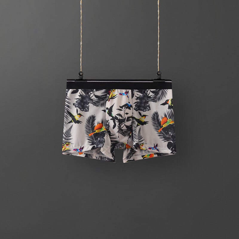 Ανδρικό Μπικίνι από Μετάξι σε Πάγο, Ανδρικά Μποξεράκια, Καλοκαιρινά Λεπτά, Αναπνέοντα, Τυπωμένα, Ανδρικά Αντιβακτηριδιακά Εσώρουχα