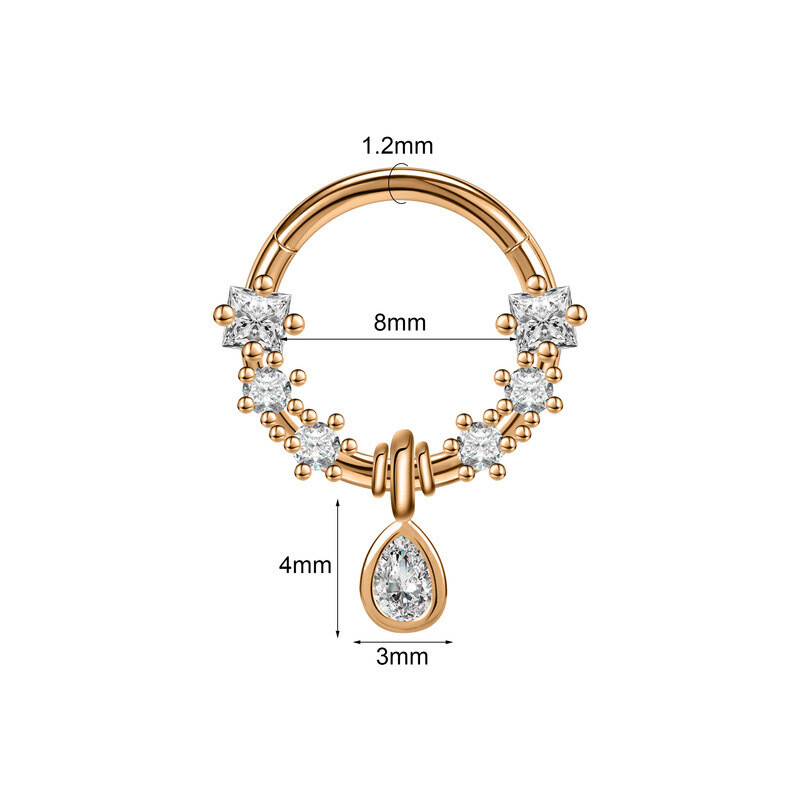 Europos ir Amerikos tarpvalstybinis uždaras nosies žiedo pakabukas nosies segtukas nosies segtukas personalizuoti ausų kremzlės nosies auskarų vėrimo papuošalai 