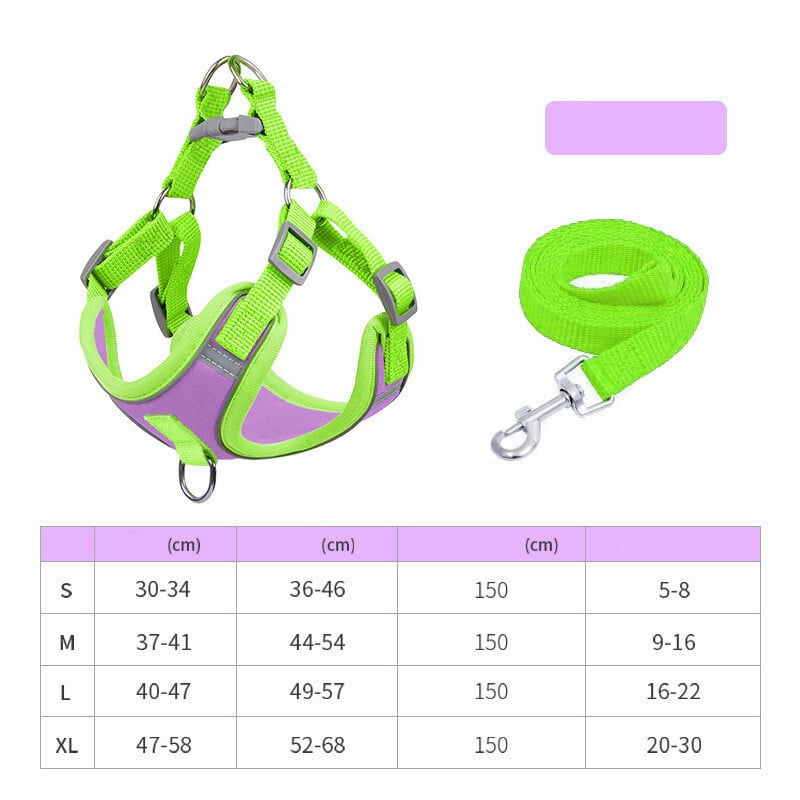 Mājdzīvnieku pavada, suņu iemaukti, mājdzīvnieku drēbes, suņu pavada, kaķu pavadas puspakā