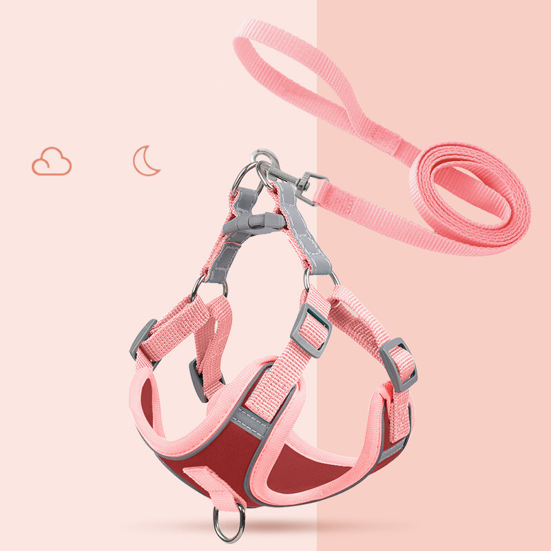 Mājdzīvnieku pavada, suņu iemaukti, mājdzīvnieku drēbes, suņu pavada, kaķu pavadas puspakā