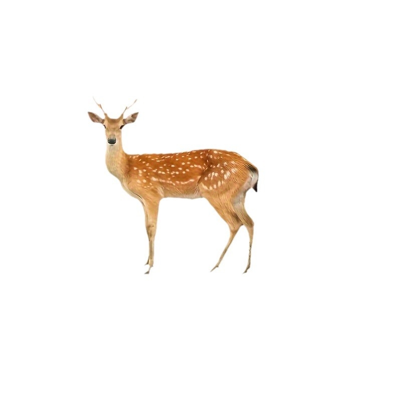 Dvimačiai plokšti akriliniai elnių sodo kuolai, kalėdinės dekoracijos, imituojami mažų gyvūnų kiemo ženklai.