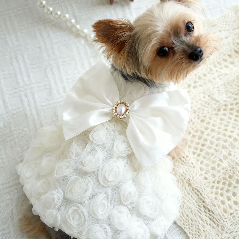 Bafi augintinių suknelės, mieli augintinių drabužiai, kačių ir šunų drabužiai, meškiukų drabužių gamintojas