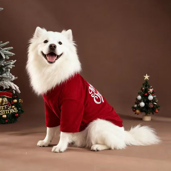 25 uut jõuluriietust lemmikloomadele üle maailma, sügis- ja talveriided kahele jalale, jõuluriided koertele Euroopa ja Ameerika stiilis, jõuluriided päevaks