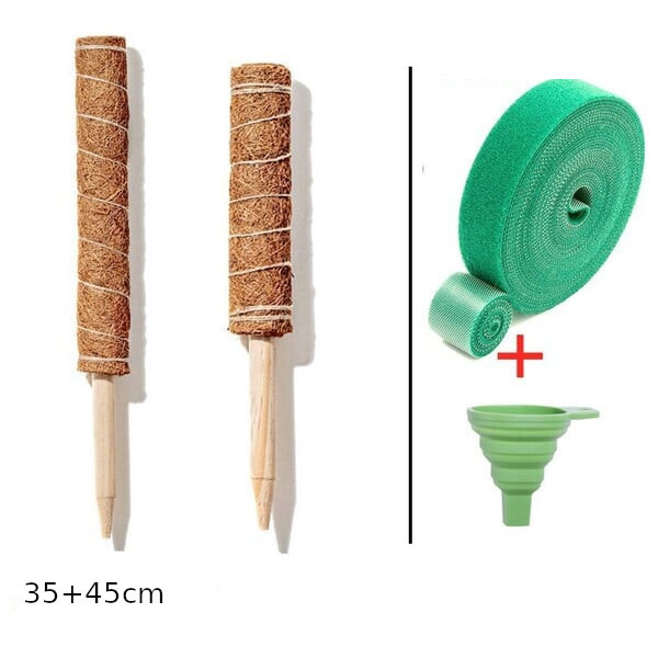 2 vnt. 40 cm samanų stulpų rinkinys sūrio augalo vazonėliui, sukraunamas samanų lazdelių raišteliai augalų kuoliukai kokoso pluošto stulpas vazoniniams augalams kambariniam sodui