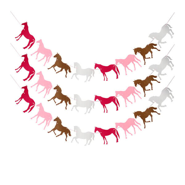 Hobusepeo sisustus Ühekordsed lauanõud Hobusepeotaldrikud Salvrätitopsid Hobuse sünnipäevabänner Ballon Hobuse sünnipäevapeotarbed