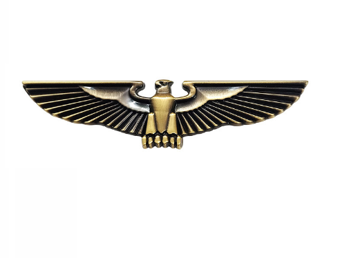 DSYCAR 1 tk 3D loomaautode kaunistus metallist kotka kleebisega auto märgi embleemi kleebis universaalautodele motorattale