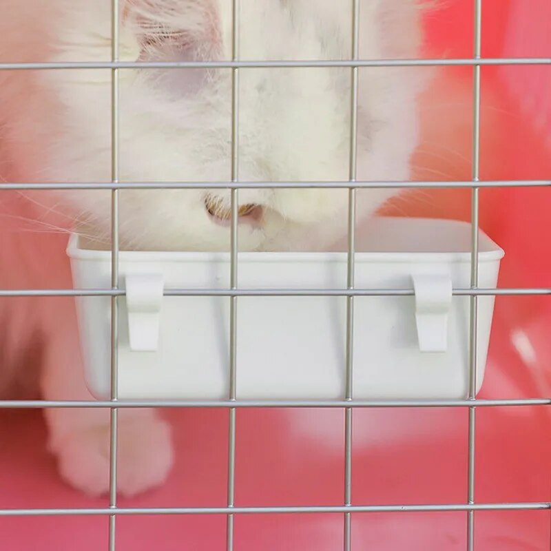 Mažas naminių gyvūnėlių ėdalo tiektuvas dubuo žiurkėno narvas Pakabinamas kabantis dubuo Vandens gėrimo prietaisas Paukščių balandžiai Voverės šėrimo puodelis Triušio pašaras