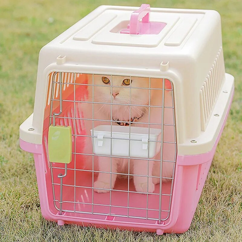 Mažas naminių gyvūnėlių ėdalo tiektuvas dubuo žiurkėno narvas Pakabinamas kabantis dubuo Vandens gėrimo prietaisas Paukščių balandžiai Voverės šėrimo puodelis Triušio pašaras